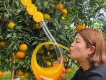 合江橙子小姐姐,探寻橙乡魅力，品味生活甜蜜