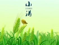 尤美小满,探寻传统农耕文化的诗意时光